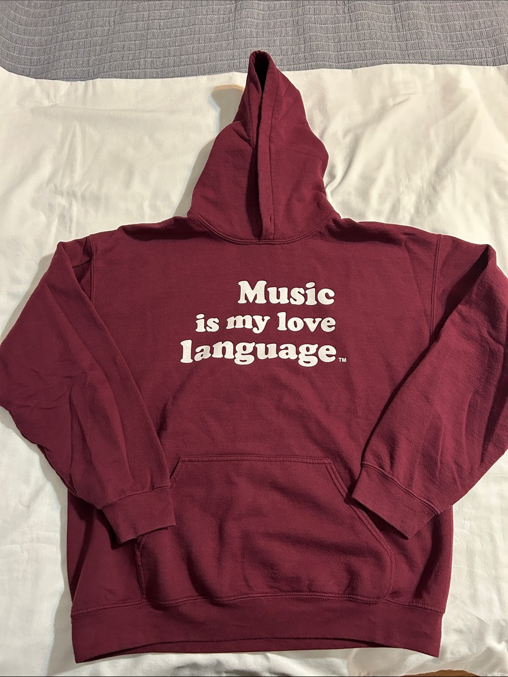 Music is my love language hoodie
